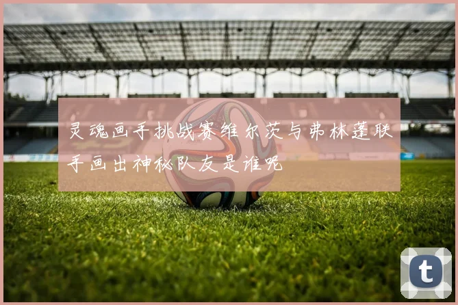灵魂画手挑战赛维尔茨与弗林蓬联手画出神秘队友是谁呢