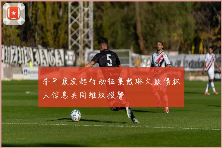李平康发起行动征集戴琳欠款债权人信息共同维权报警