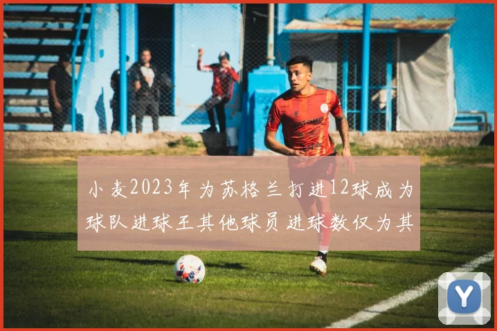 小麦2023年为苏格兰打进12球成为球队进球王其他球员进球数仅为其一半