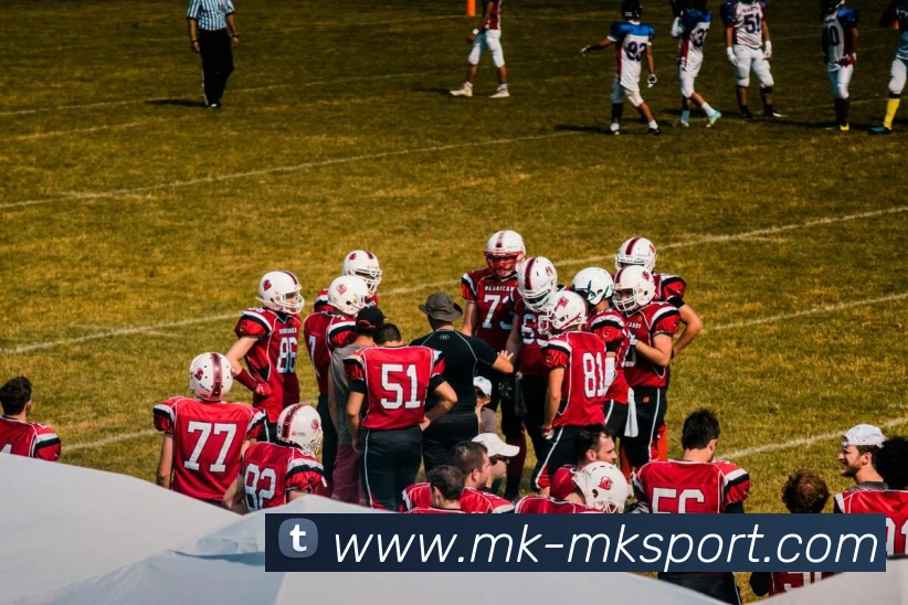 MK体育APP 高清赛事图