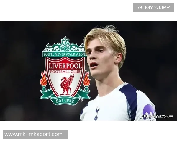 利物浦关注热刺新星范德芬其转会费超1亿镑球员欲今夏离队 利物浦关注热刺新星范德芬其转会费超1亿镑球员欲今夏离队